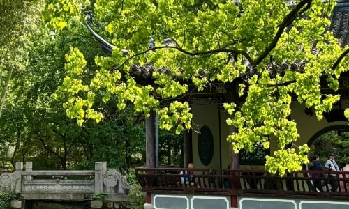 guyi garden